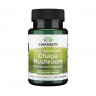 Swanson Full Spectrum Chaga Mushroom 400 mg